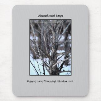 Övergav nycklar, Chernobyl. Musmatta