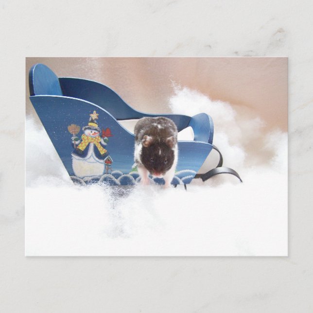 Överge slakten! vykort (Framsida)