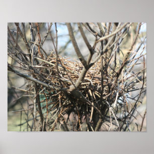 Övergiven Bird Nest Poster