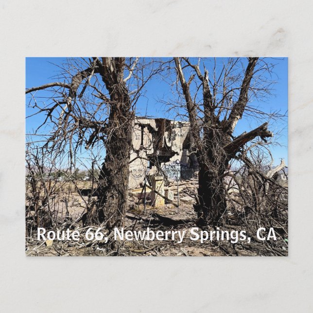 Övergiven byggnad, Route 66, Newberry Springs, CA Meddelande Vykort (Framsida)
