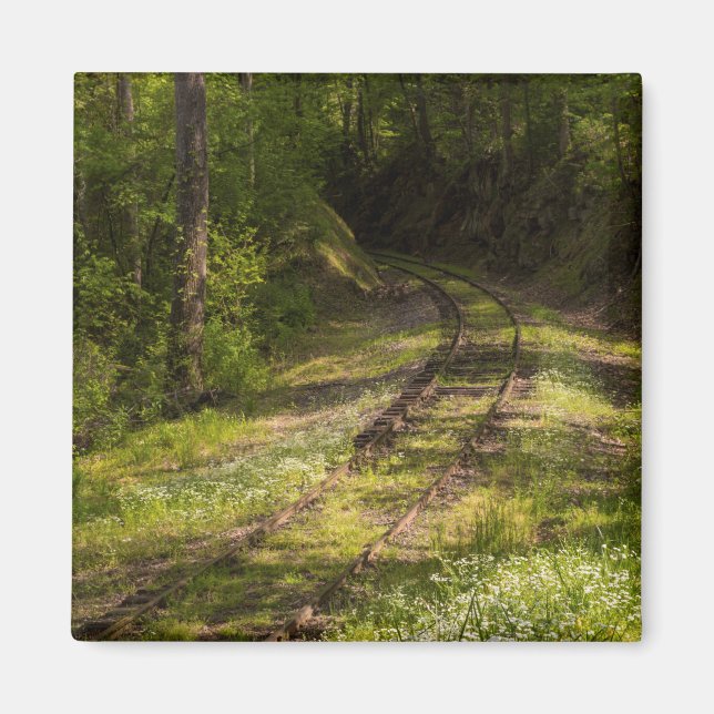 Övergiven järnväg i en skog magnet (Framsidan)