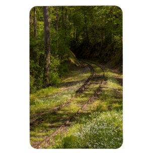 Övergiven järnväg i en skog magnet
