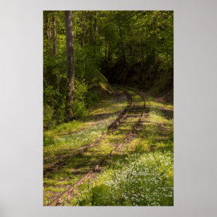 Övergiven järnväg i en skog poster