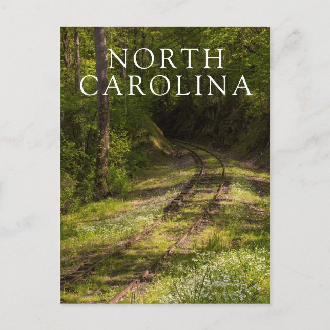 Övergiven järnväg i en skog vykort (Framsida)