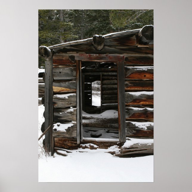 Övergiven logg Cabin, Colorado Poster (Framsidan)