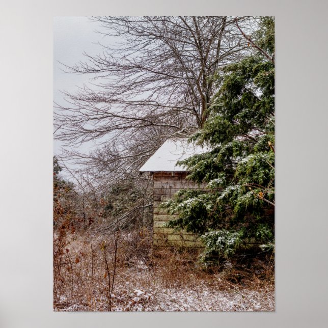 Övergiven Shed Poster (Framsidan)