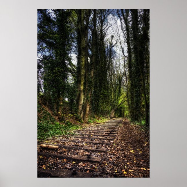 Övergivna järnvägslinjer HDR Poster (Framsidan)