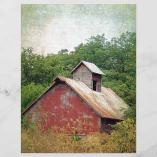 Övergivna och överodlade