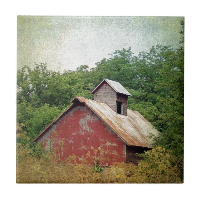 Övergivna och överodlade kakelplatta (Framsidan)