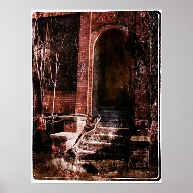 Övergivna stam- och vindruvor poster (Framsidan)