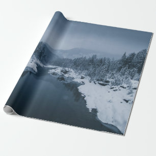 ÖVERGRUNDADE AV SNÖ SOM OMFATTAS AV FÄLT MED GRÄS PRESENTPAPPER