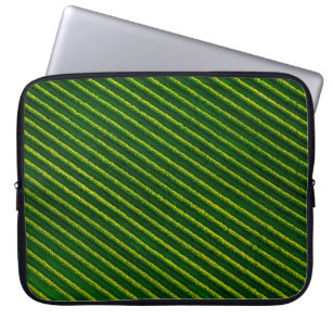 Överkant vy av svarta vinbärbuskar, odlade l laptop fodral