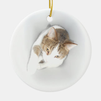 Overklig katt i det ljust julgransprydnad keramik