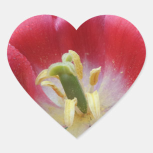 Överklockare för tulip Flower Heart Hjärtformat Klistermärke