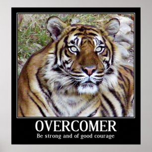 Överkomlig_ Poster