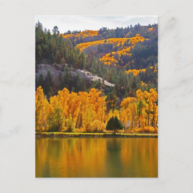 Överläggningar på hösten i Dolores Vykort (Framsida)