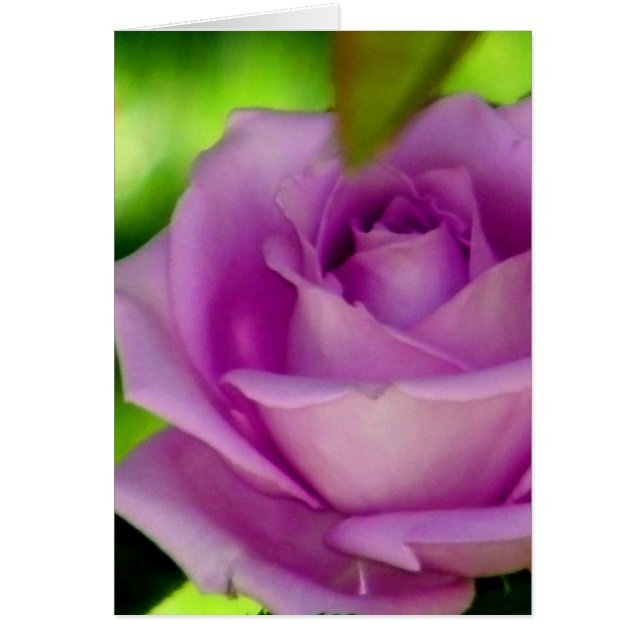 Överlämnande_ Hälsningskort (Framsidan)