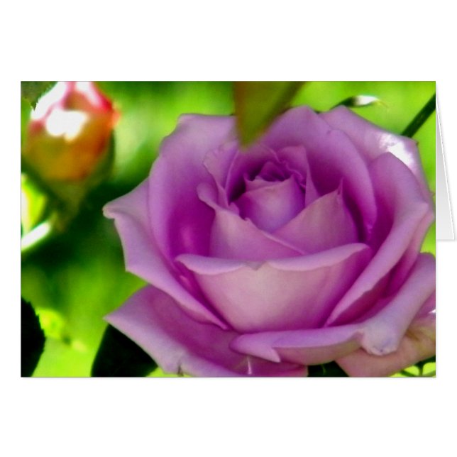 Överlämnande_ Hälsningskort (Framsidan Horizontal)