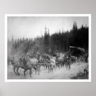 Overland slingahästar Alaska 1908 Poster