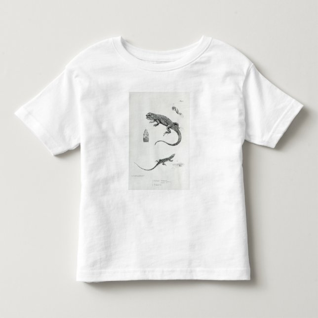 Överlappad leguan tee (Framsida)