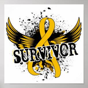 Överlevnad 16 Barncancer Poster