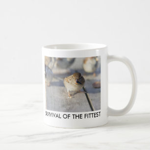 Överlevnad av den lägsta kaffemugg