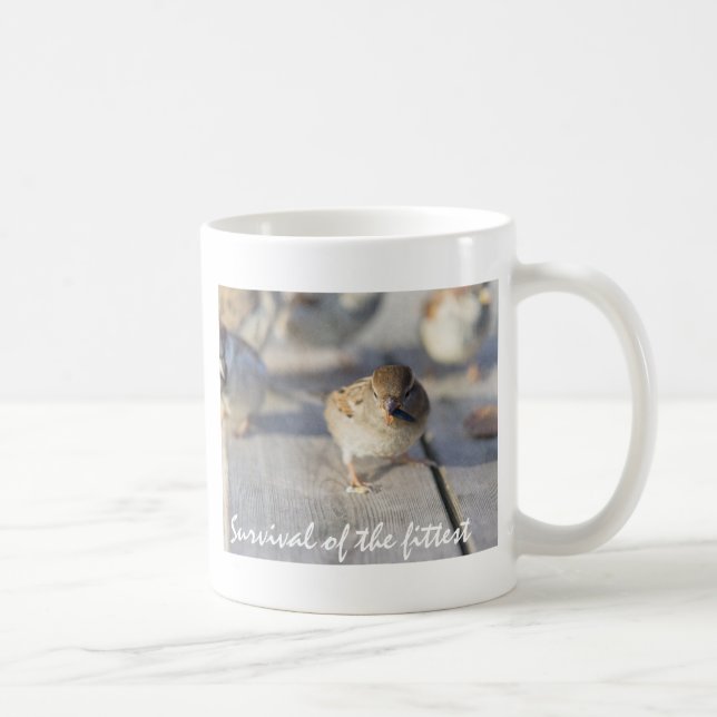 Överlevnad av den lägsta kaffemugg (Höger)