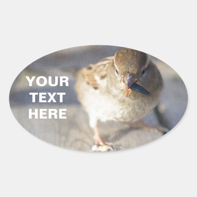 Överlevnad av den lägsta ovalt klistermärke (Framsida)