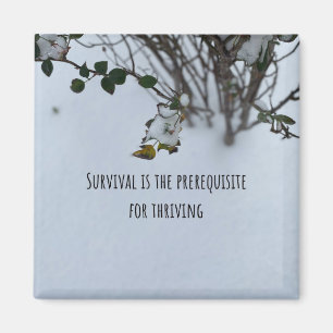 Överlevnad av tuggad cute Quote Magnet