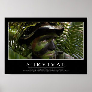 Överlevnad: inspirationsoffert 2 poster