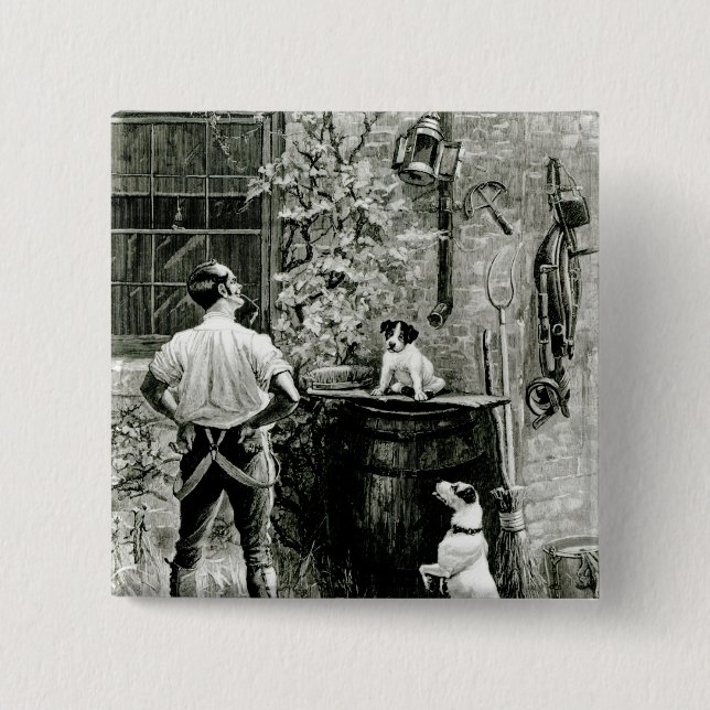 Överlevnaden av det mest fittest knapp (Framsida)