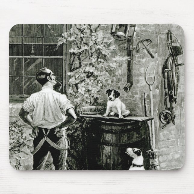 Överlevnaden av det mest fittest musmatta (Framsidan)