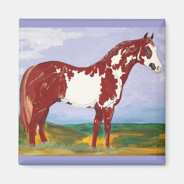 Overo Paint Stallion ~ Horse Magnet (Framsidan)