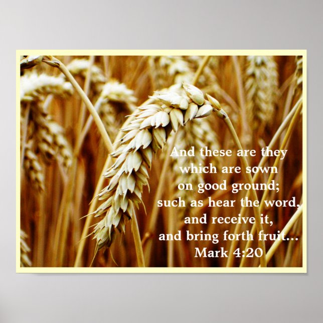 Överordnad Poster (Framsidan)