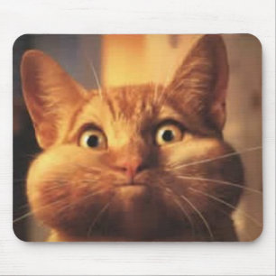 Överraskad Cat Mousepad Musmatta