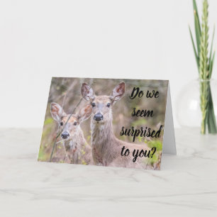 ÖVERRASKAD? DET ÄR VI! DU ÄR ***40*** KORT