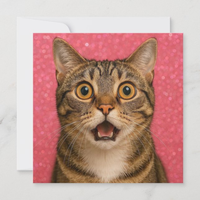 Överraskad katt gratulationskort. kort (Framsida)