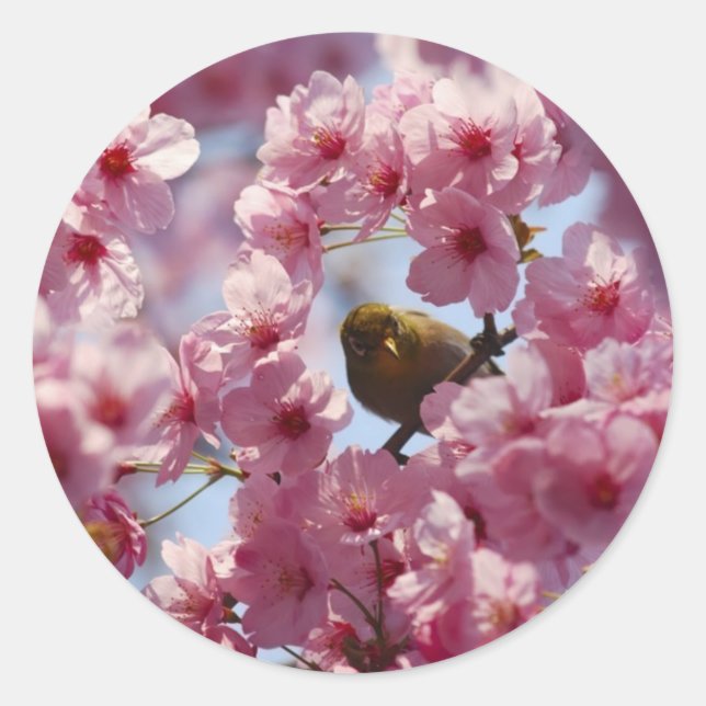 överraskning! runt klistermärke (Framsida)