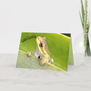 Överraskning! Träd Frog på ananassaplantan Kort