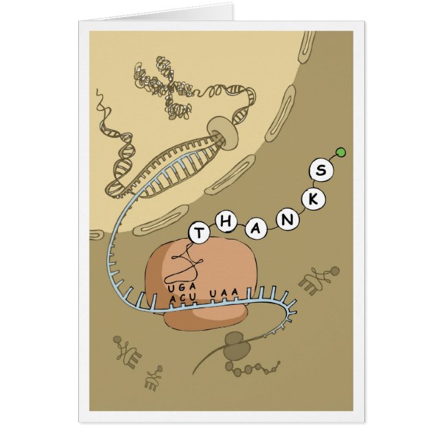 Översättning Hälsningskort (Framsidan)