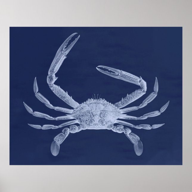 Oversiderad krabbtriptych i Blue Poster (Framsidan)