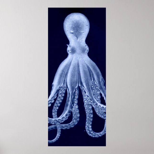 Oversifierad oktopus Triptych II Skriv ut i blått Poster (Framsidan)