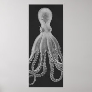 Oversifierad oktopus Triptych II-utskrift i Grått Poster