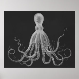 Oversifierad oktopus Triptych-utskrift i Grått Poster