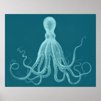 Oversifierad oktopus Triptych-utskrift i turkos Poster