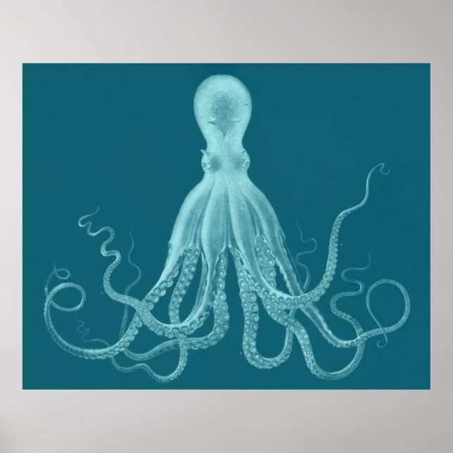 Oversifierad oktopus Triptych-utskrift i turkos Poster (Framsidan)