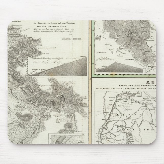 Översikt över den mer kända bifurcationen musmatta (Framsidan)