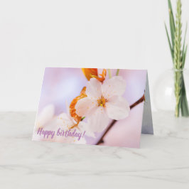 Översikt över Sakurablomman i Vår Kort