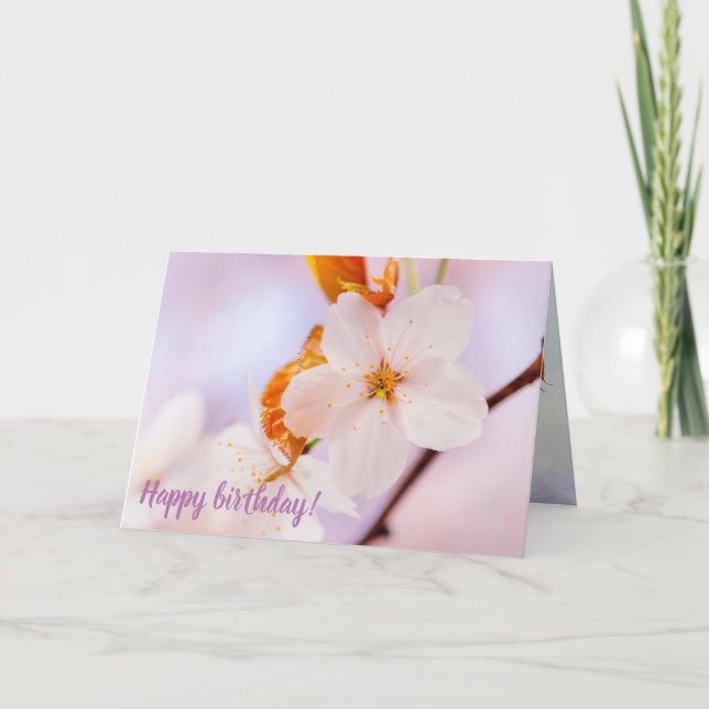 Översikt över Sakurablomman i Vår Kort (Framsida)