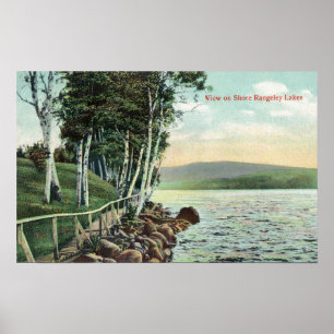 Översikt över Sjö Shore Poster